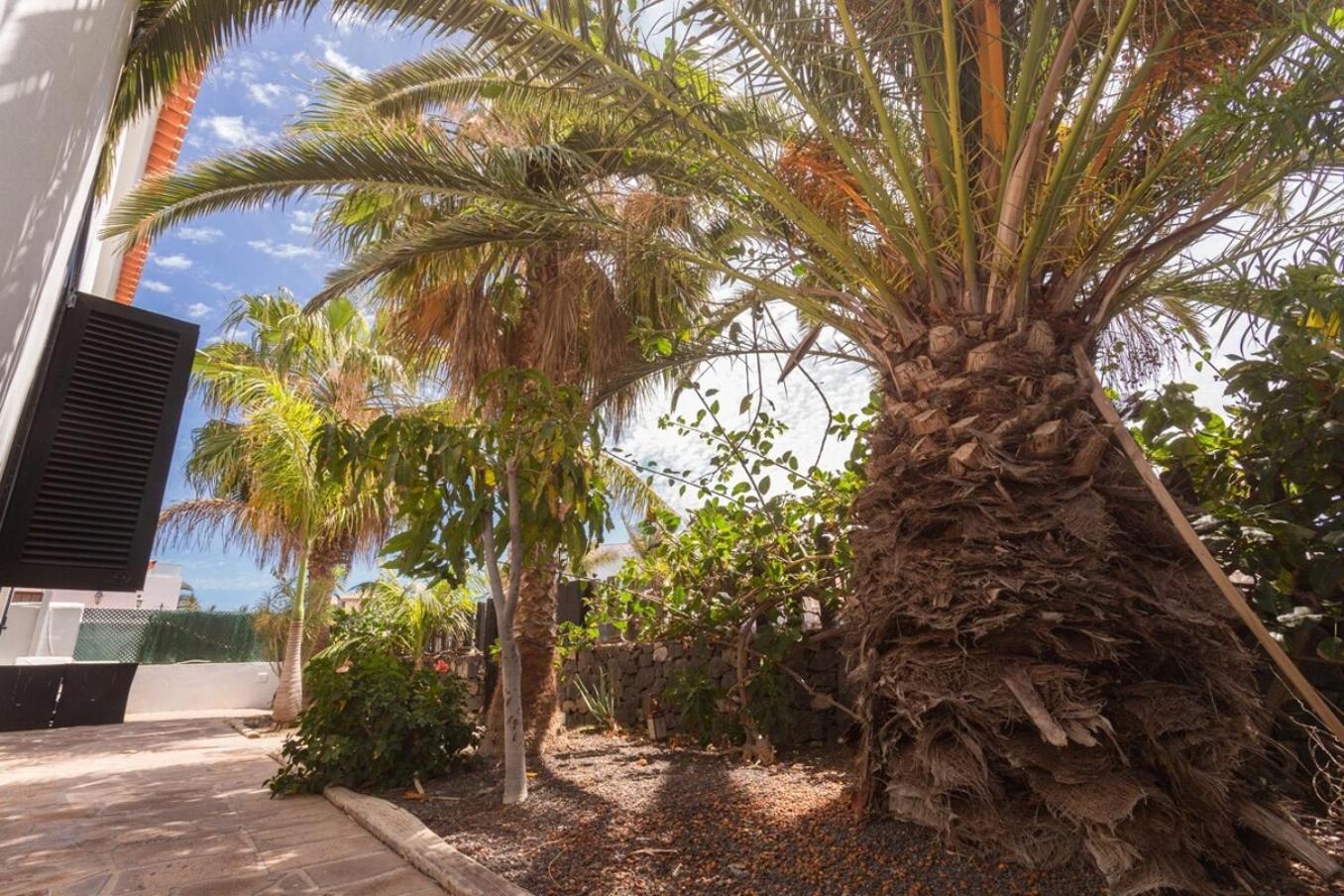 La Quinta - Wonderful 4 Bed Villa-Private Pool サンミゲル・デ・アボナ エクステリア 写真